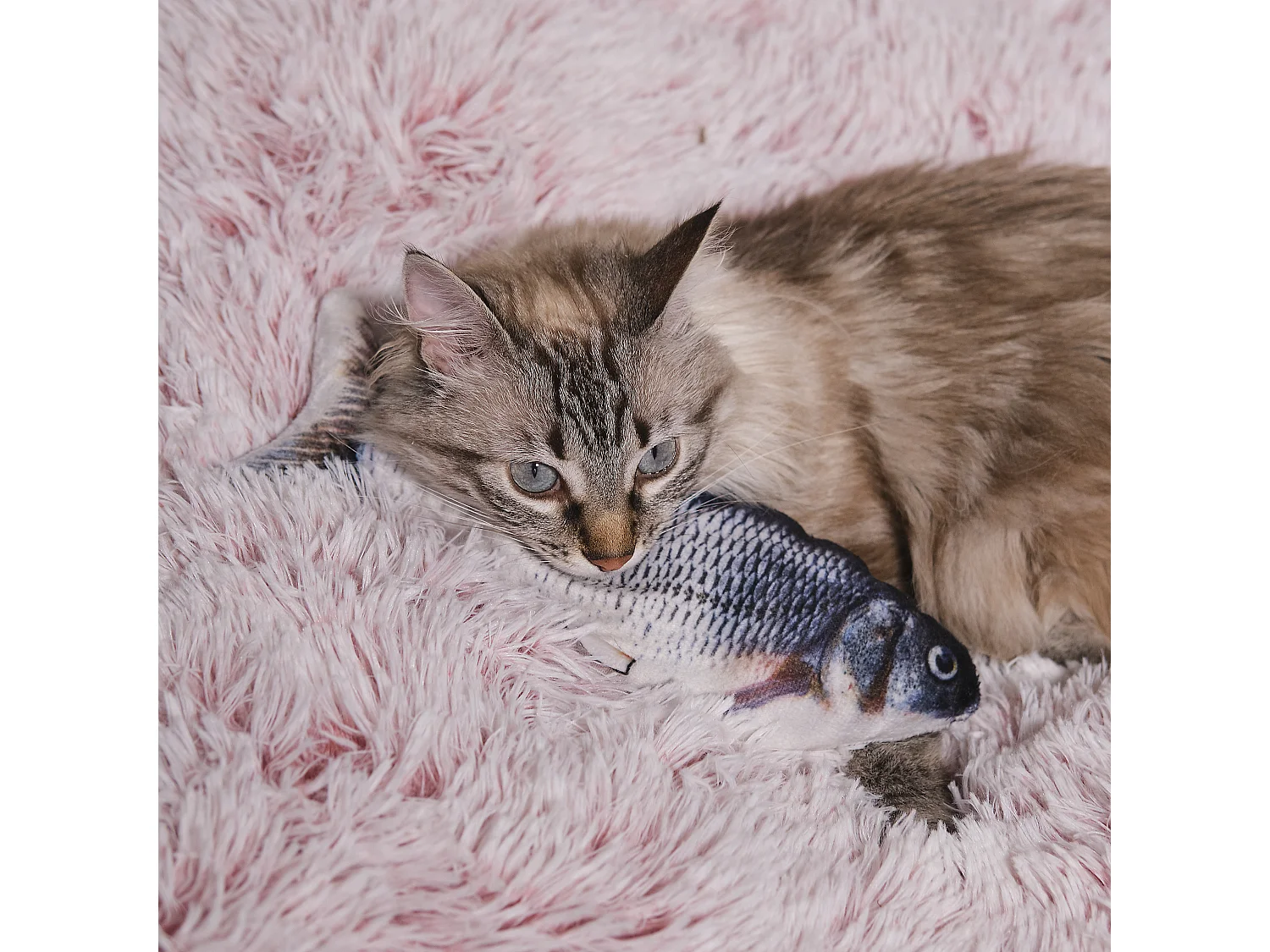 Jeu Interactif - THE CONCEPT FACTORY - Poisson Vibrant - Rechargeable - Gris