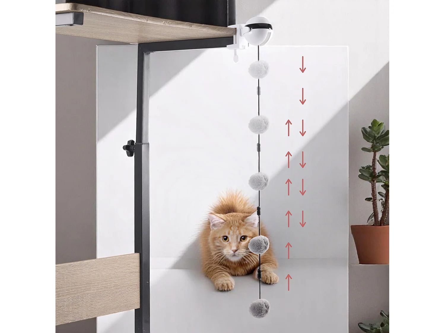 Jeu Interactif Pour Chat A Visser Chat'scenseur Blanc