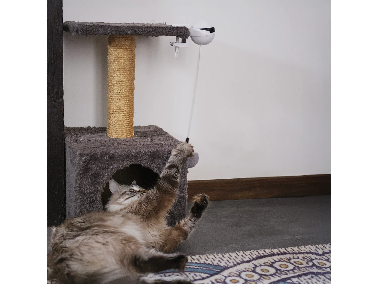 Jeu Interactif Pour Chat A Visser Chat'scenseur Blanc