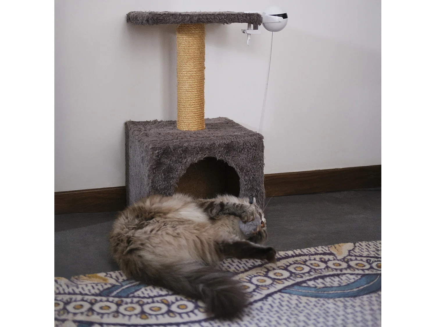 Jeu Interactif Pour Chat A Visser Chat'scenseur Blanc