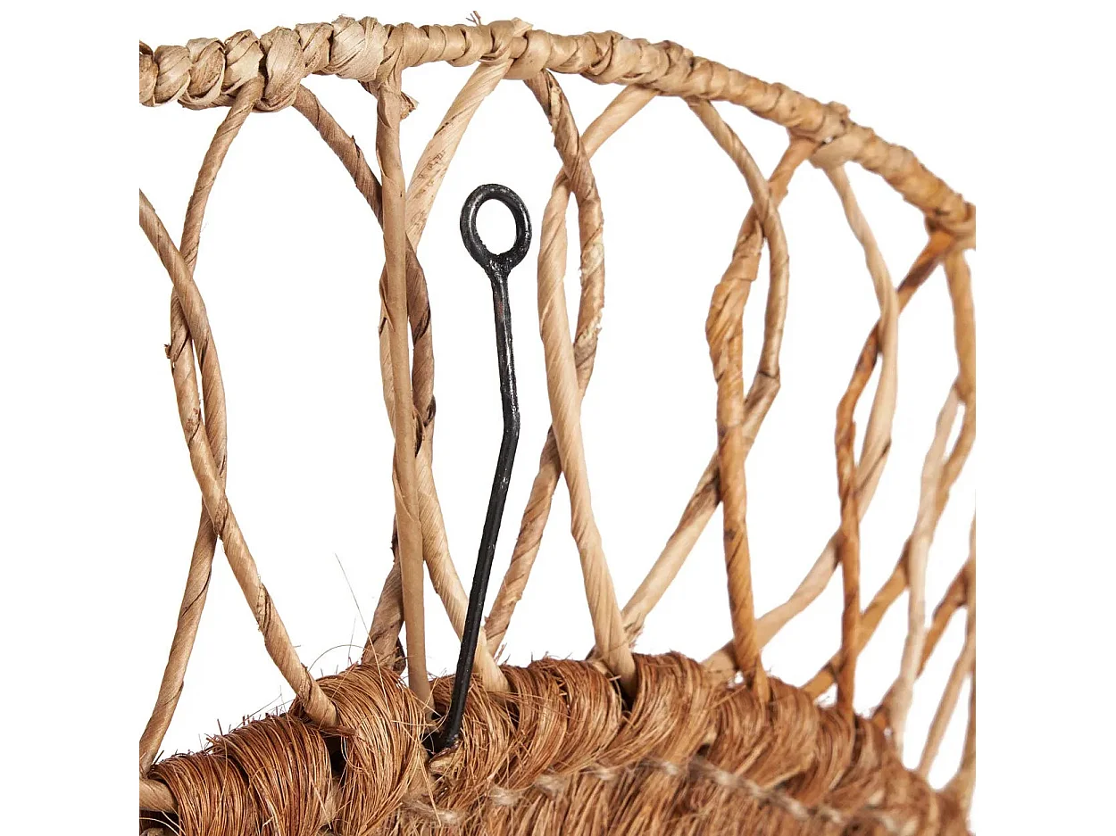 Der Montezuma Spiegel - Natur