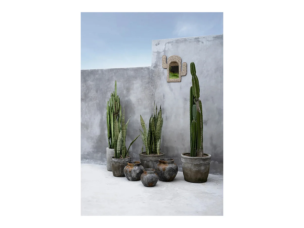 Der Cactus Shell Spiegel - Weiss