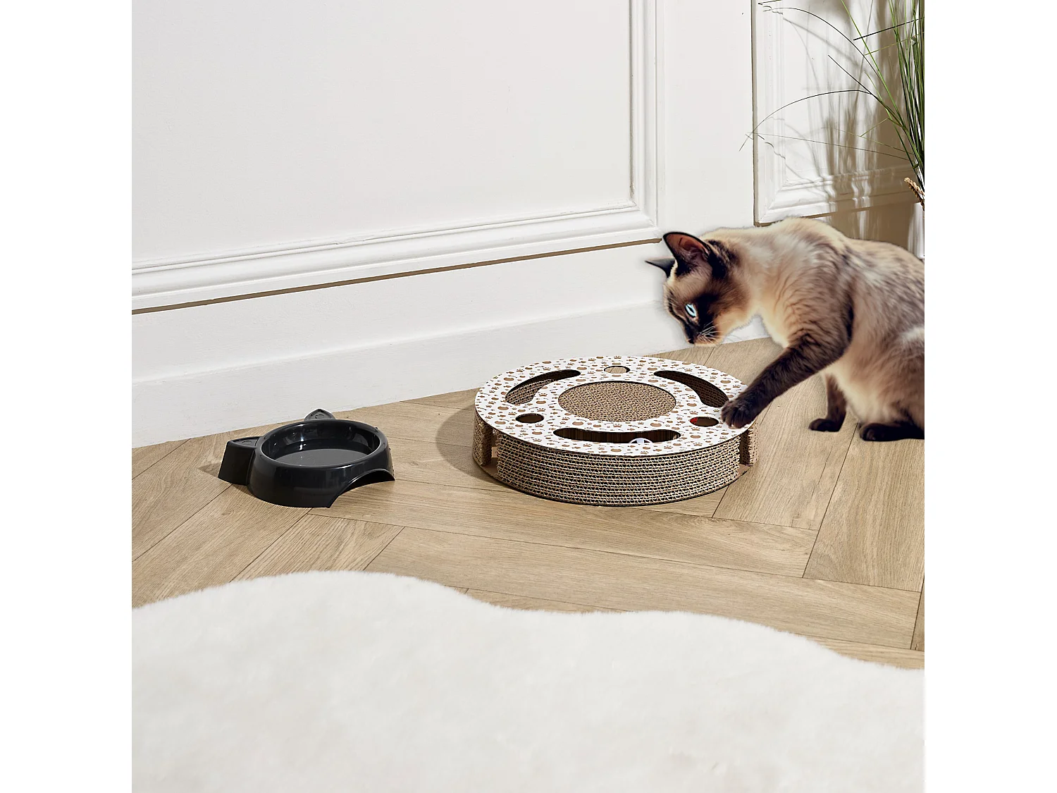 Griffoir Pour Chat rond