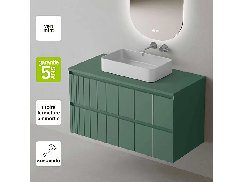 Meuble Salle de Bain POLE (101 cm x H54 x P45 cm), Plan Vasque Marin TAN WB, 2 Tiroirs, Laqué Vert Mint