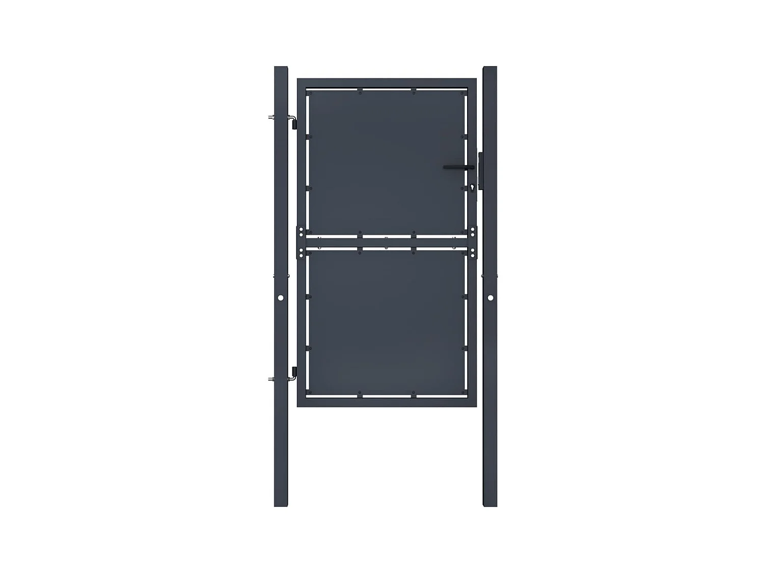 Tuinpoort Staal 100 x 200 cm Antraciet