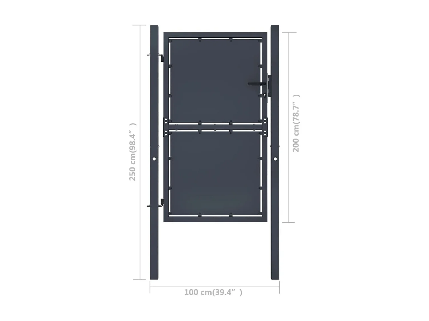 Portail de jardin Acier 100 x 200 cm Anthracite
