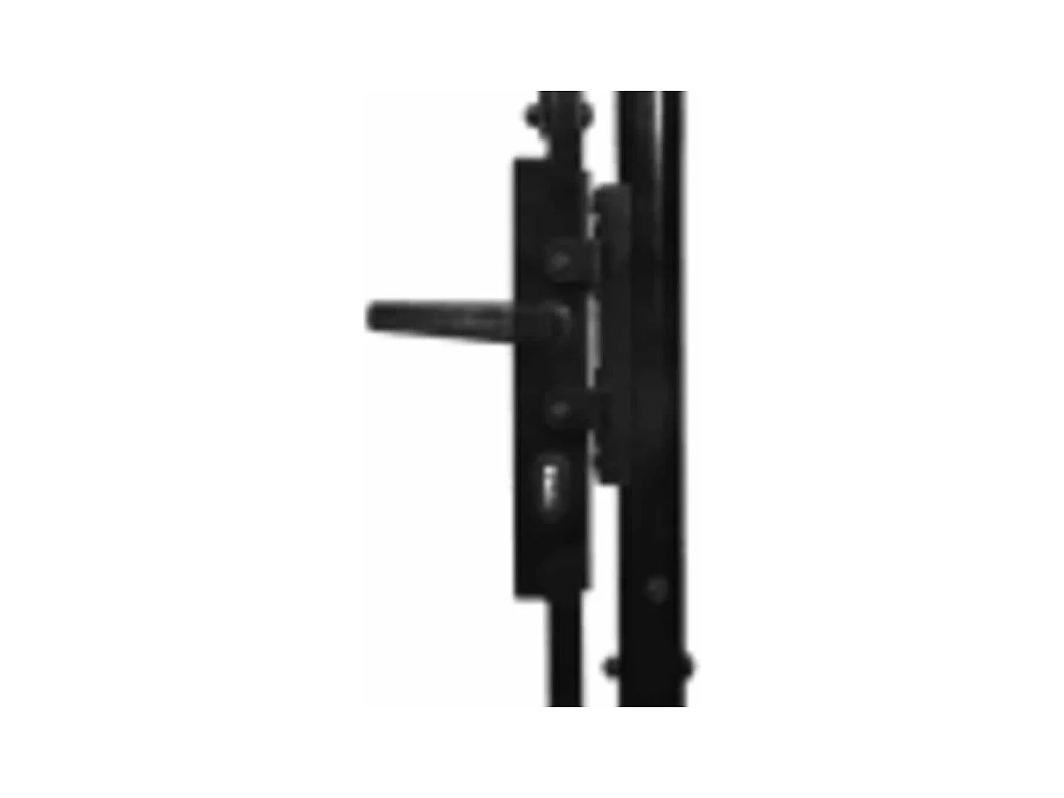 Cancello doppio con punta superiore Acciaio 3x1,5 m Nero