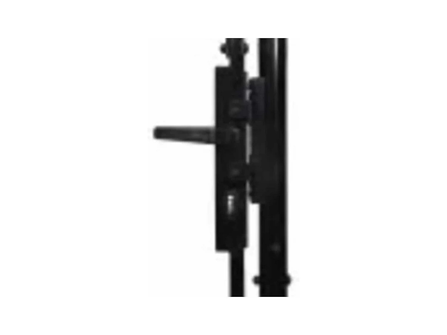 Puerta doble con remate en forma de lanza 300 x 150 cm