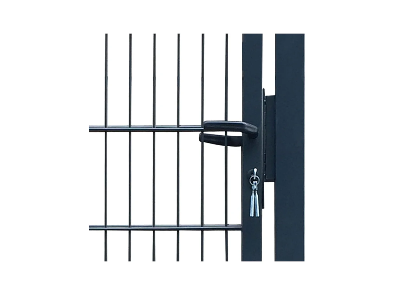 2D Poort (enkel) Antracietgrijs 106x170 cm