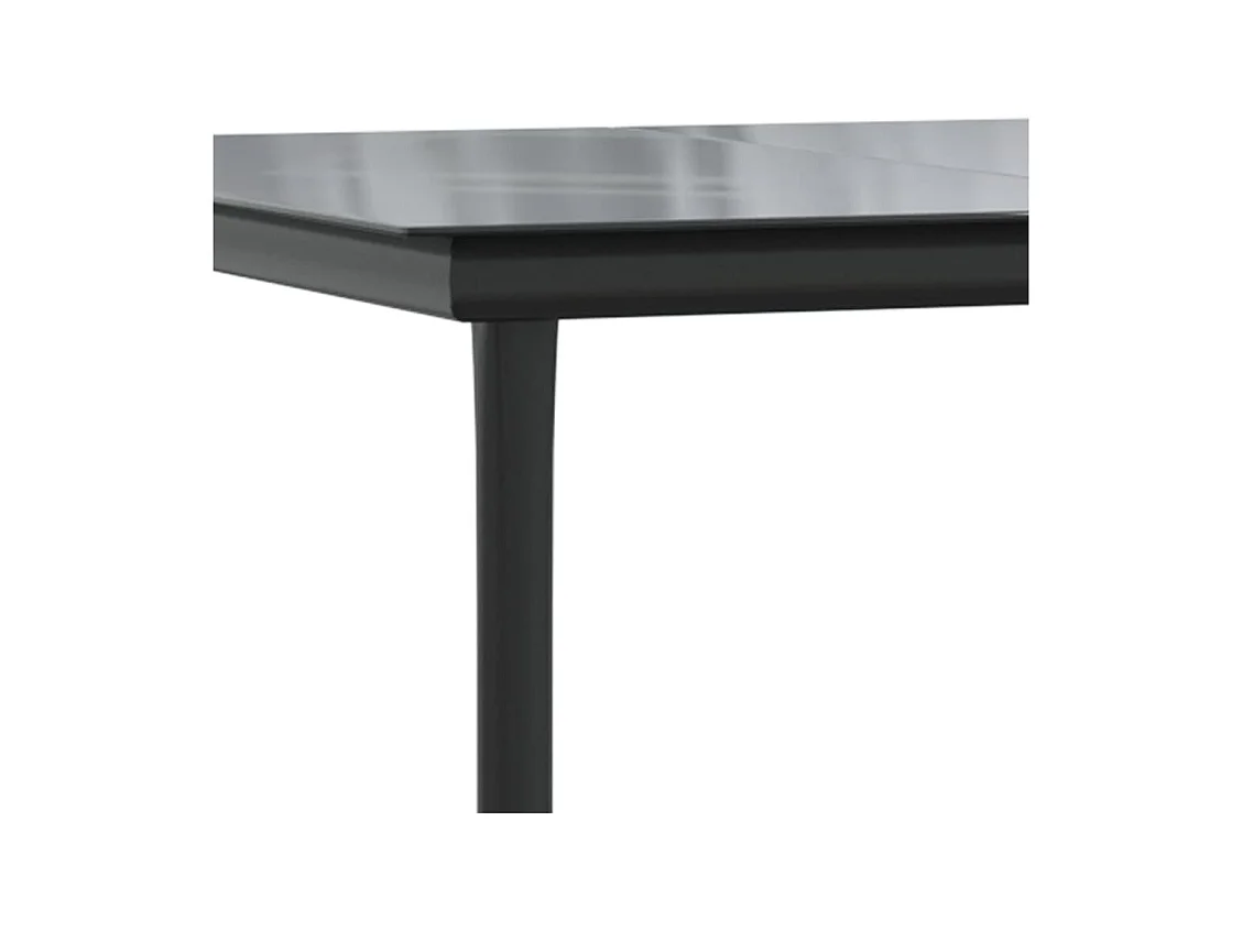 Table à dîner de jardin Noir 200x100x74cm Acier et verre trempé