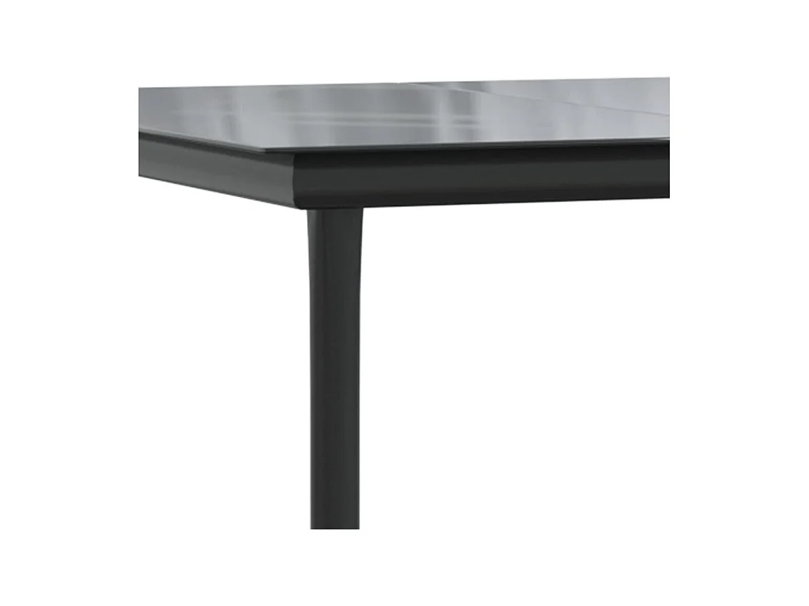 Tuintafel Zwart 160x80x74 cm Staal en gehard glas