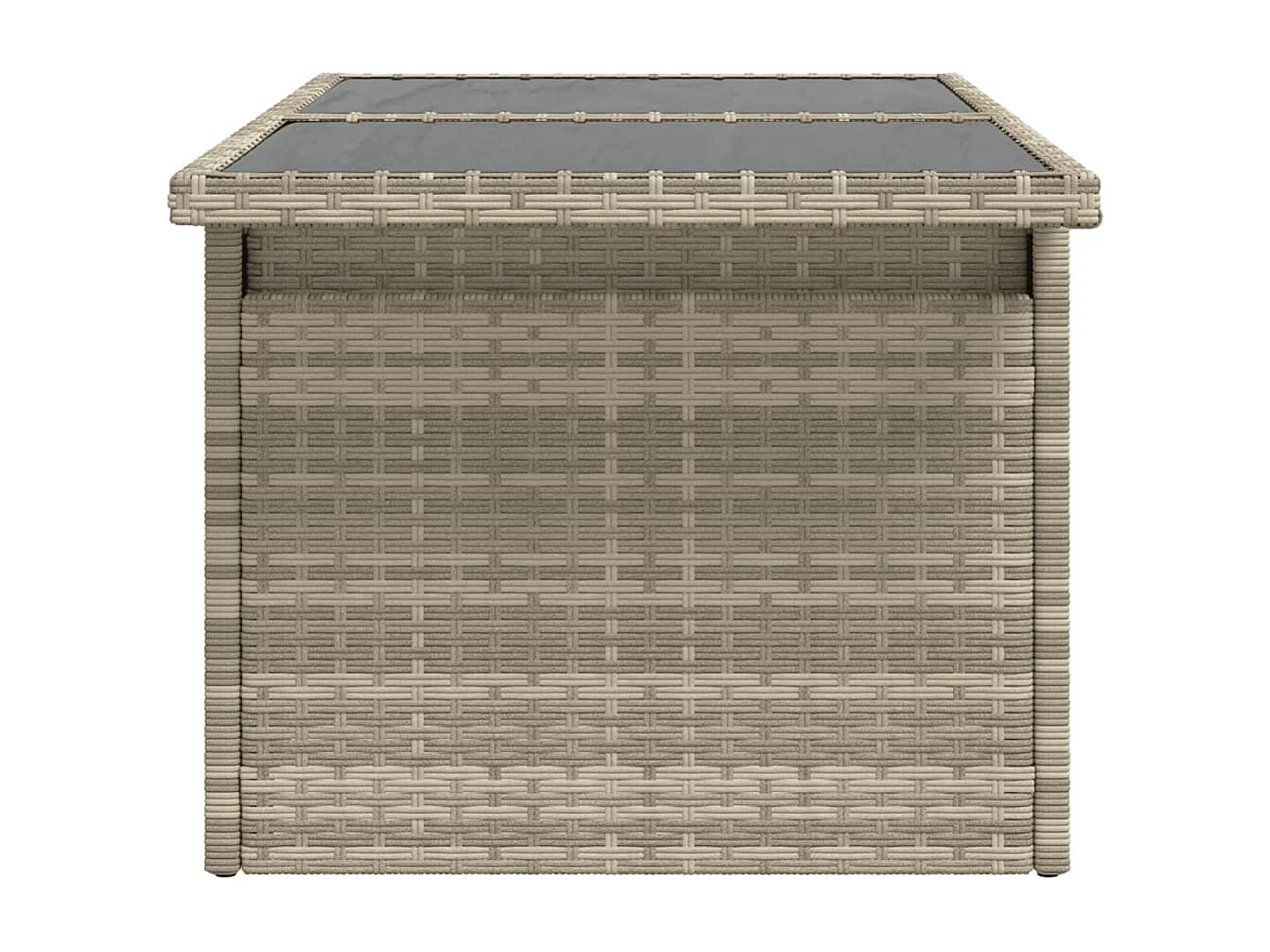 Mesa de jardín con tapa de cristal gris claro 100x55x73 cm ratán