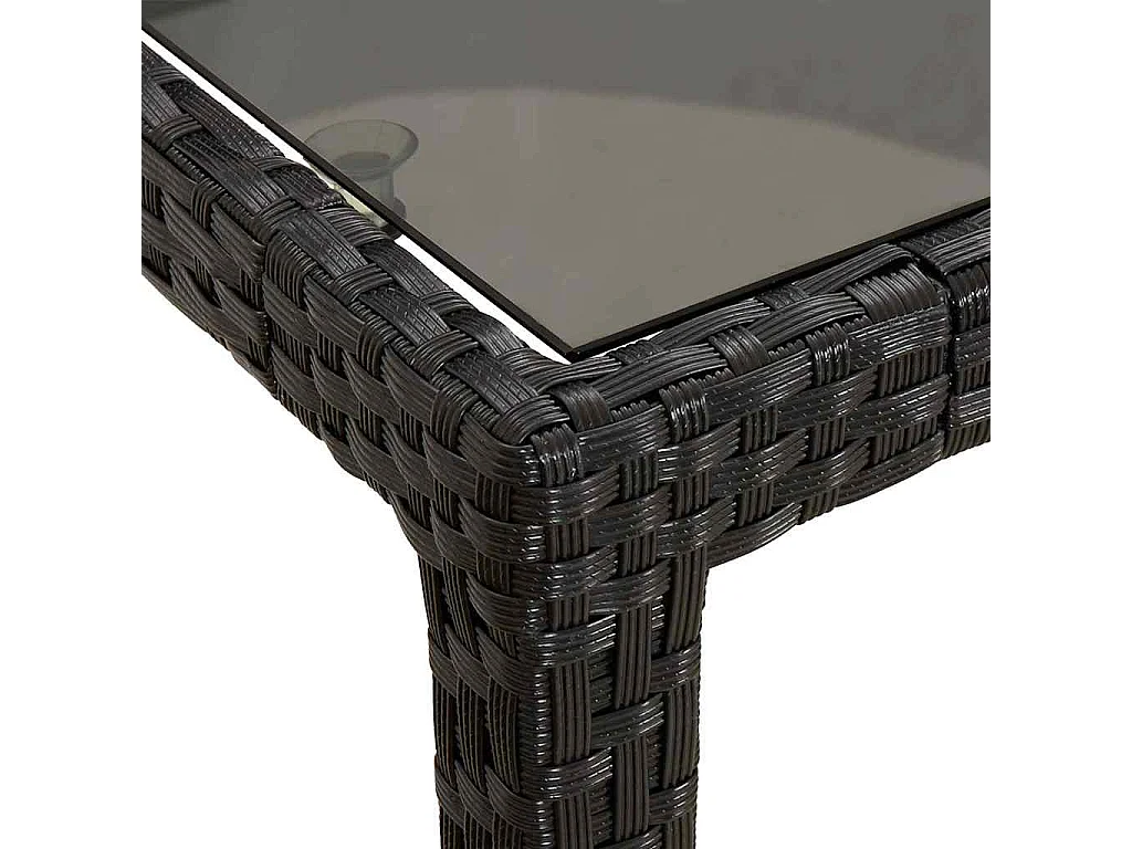 Table de jardin pour repas Noir pur 250 x 100 x 75 cm