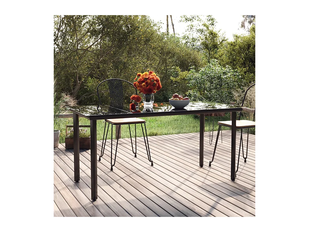 Table à dîner de jardin Noir 160x80x74 cm Acier et verre trempé