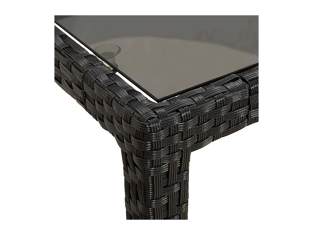 Table de jardin pour repas Noir 150 x 90 x 75 cm Poly rotin