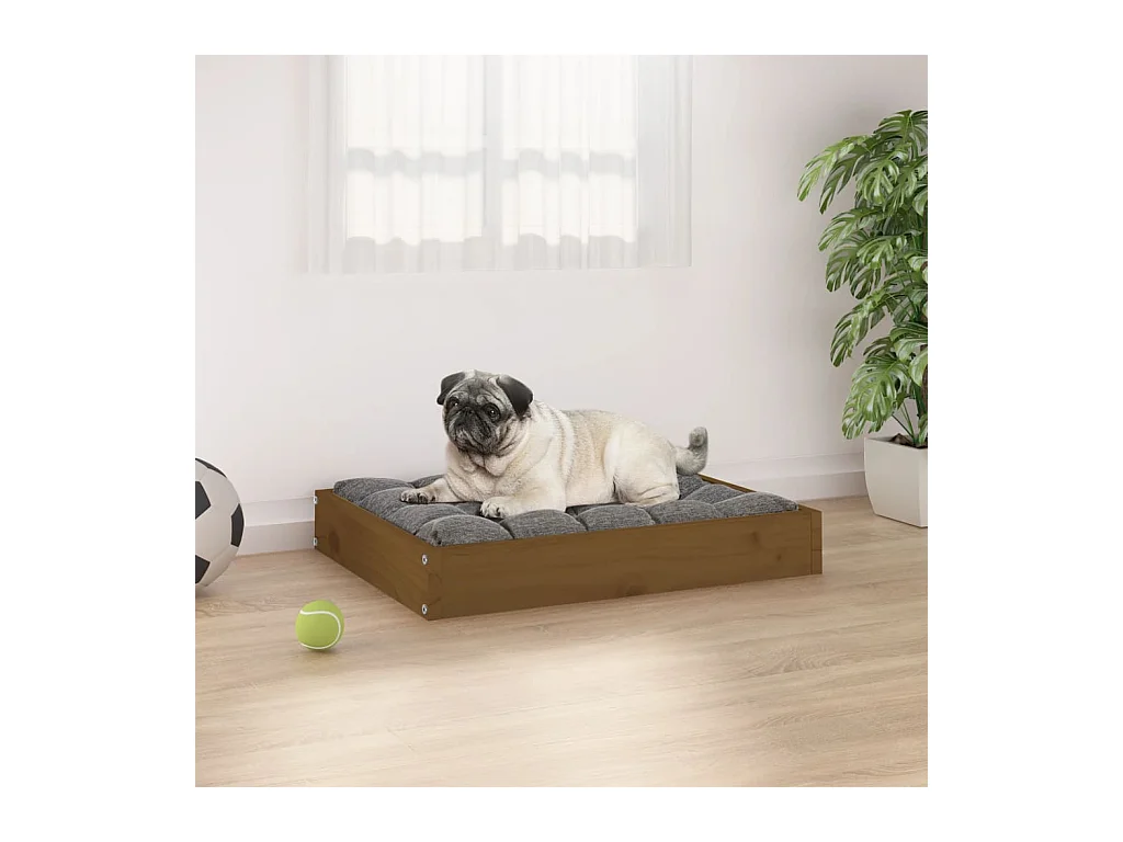 Letto per cani color miele, 61,5x49x9 cm, in legno di pino massiccio