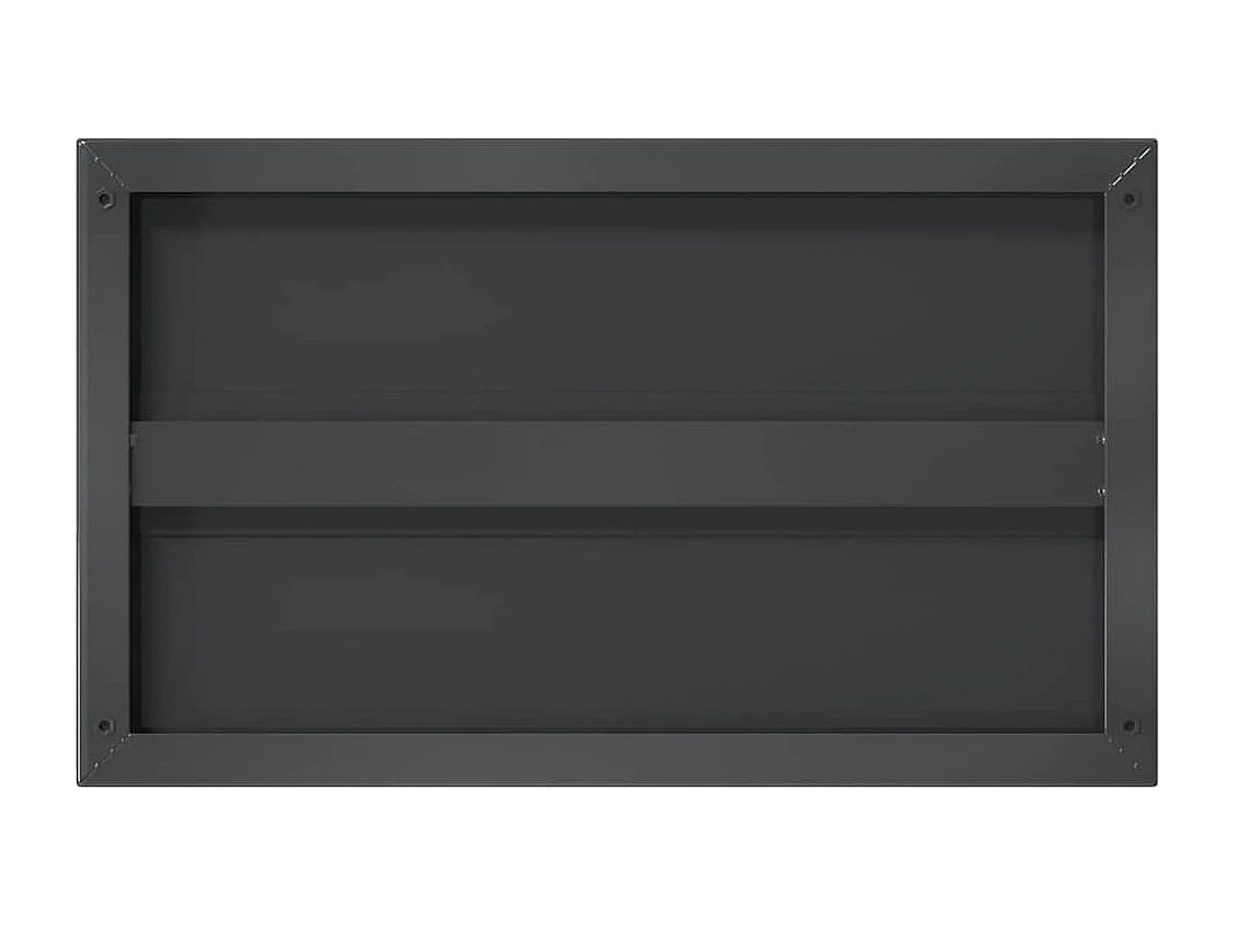 Wandplanken 2 stuks 50x30x3 cm zwart roestvrij staal