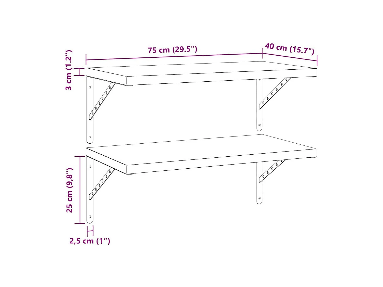 Mensole da parete 2 pezzi 75x40 cm acciaio inox nero