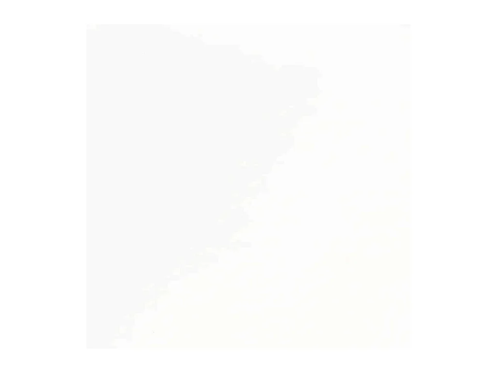 Chaises à manger 2 pcs blanc bois massif caoutchouc