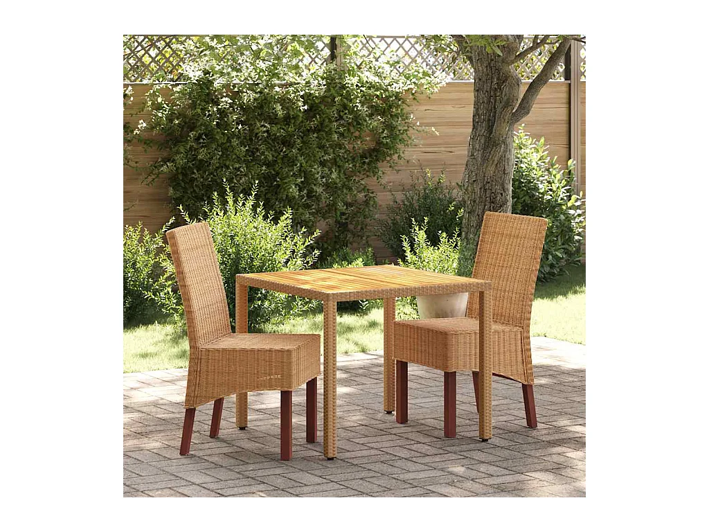 Chaises à manger lot de 2 marron rotin naturel