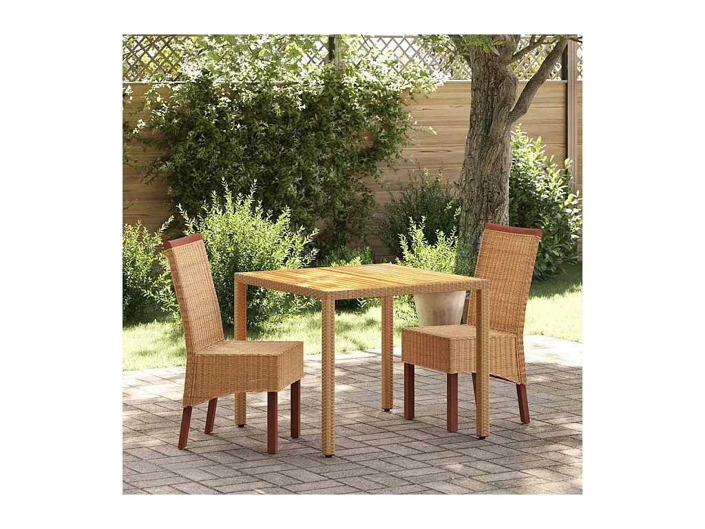 Chaises à manger lot de 2 marron rotin naturel