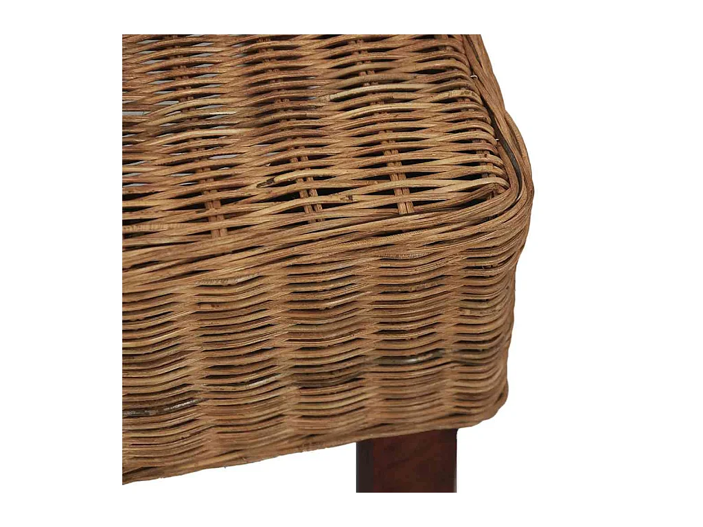 Chaises à manger lot de 2 marron rotin naturel