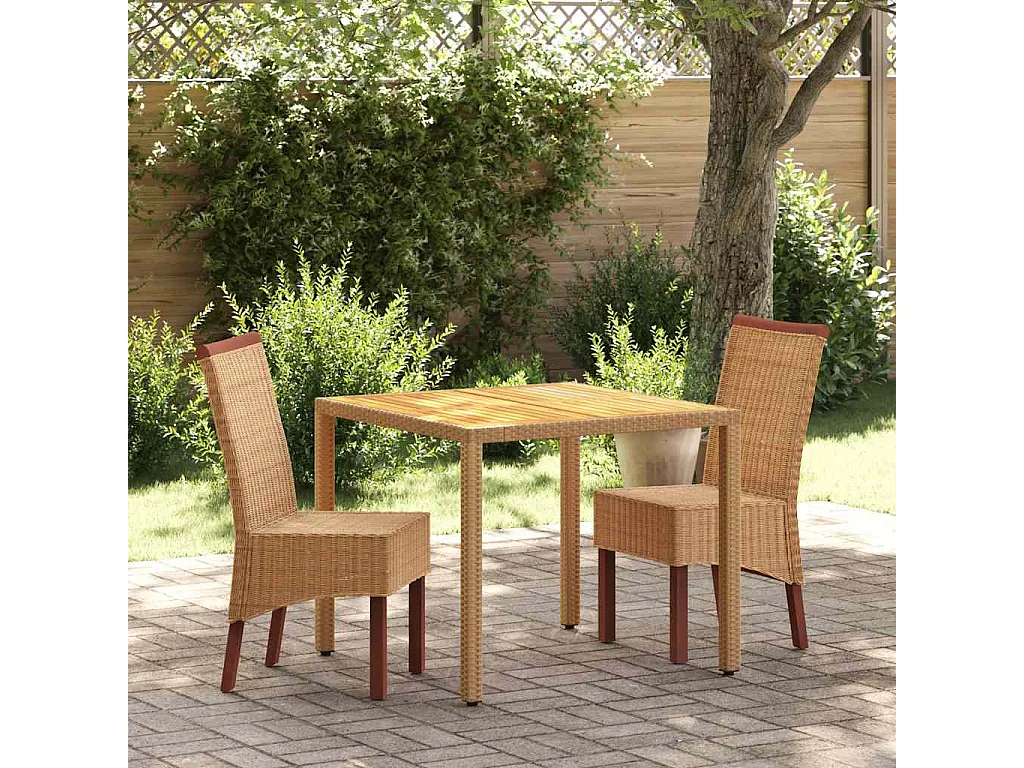 Chaises à manger lot de 2 marron rotin naturel