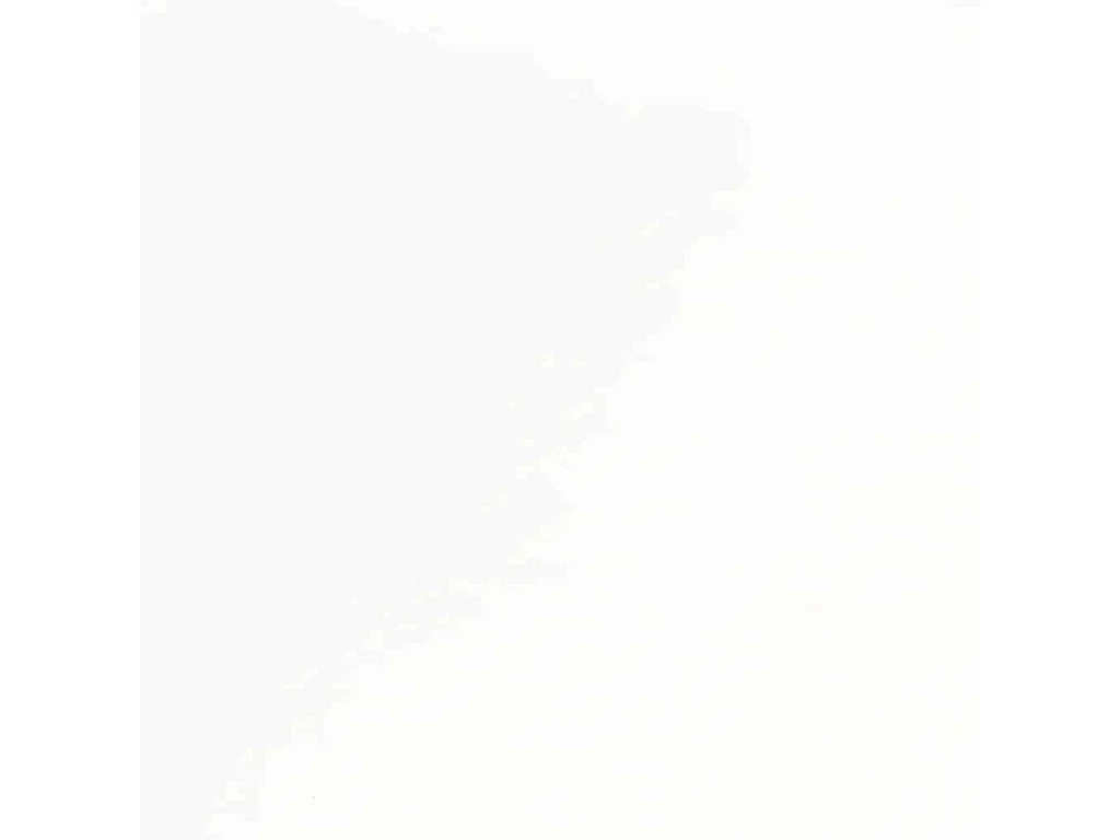 Chaises à manger 2 pcs bois massif caoutchouc