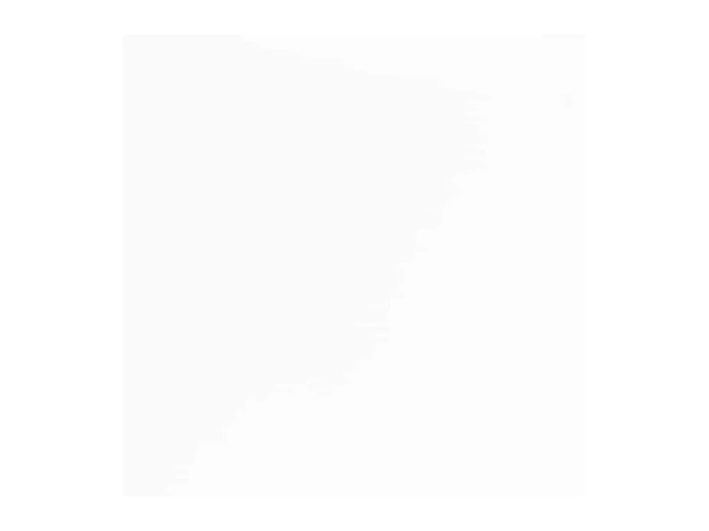 Chaises à manger 2 pcs blanc bois massif caoutchouc