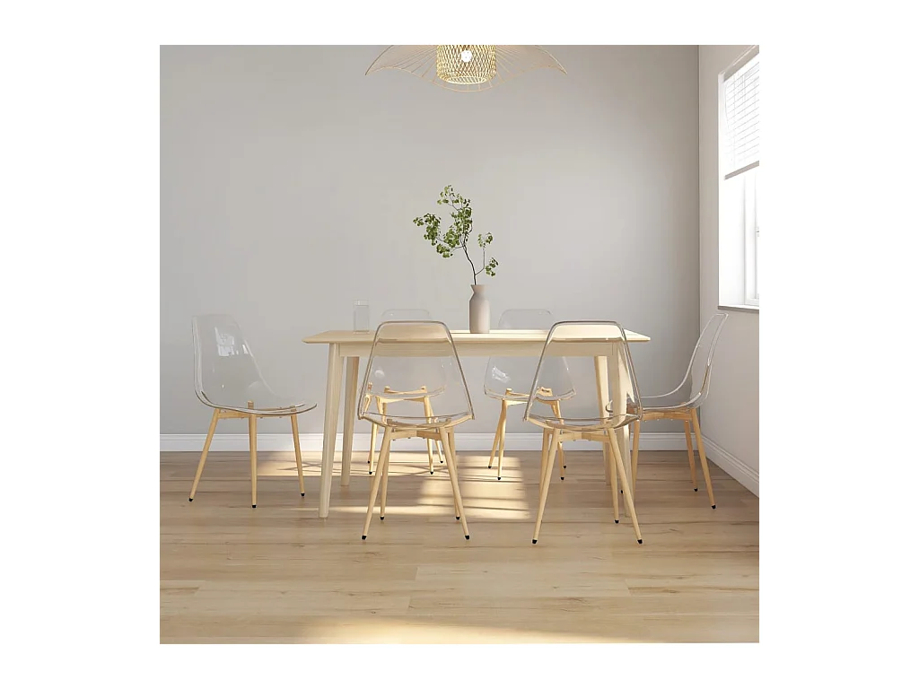 Chaises à manger lot de 6 Transparent PET