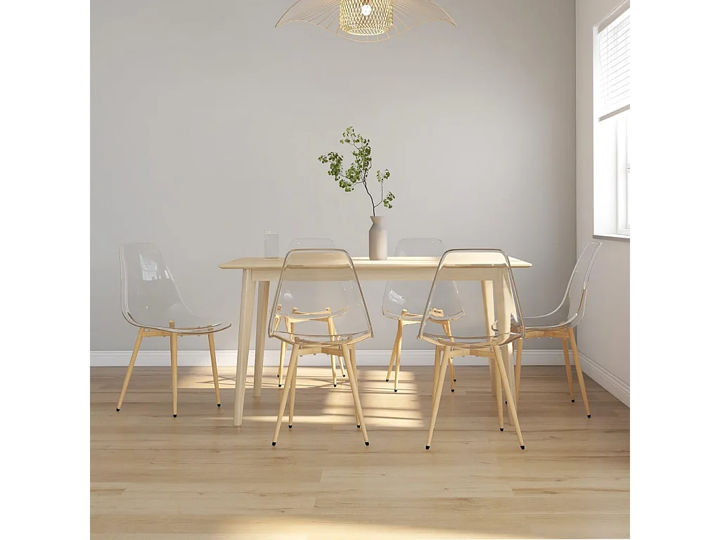 Chaises à manger lot de 6 Transparent PET