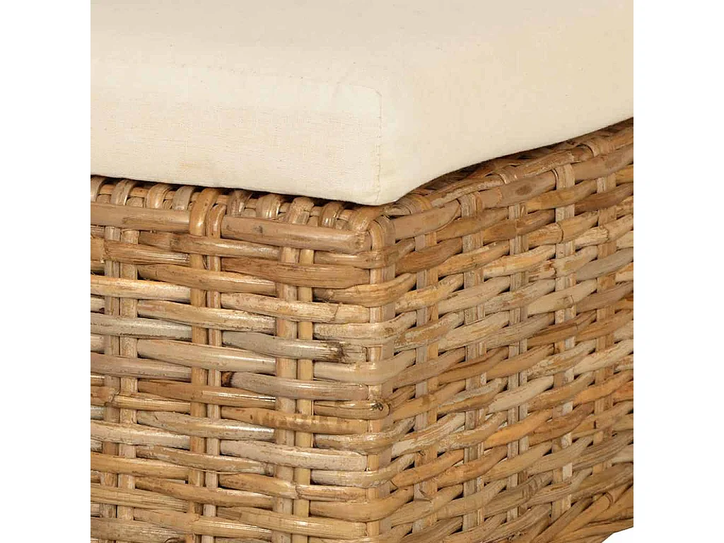 Chaises à manger lot de 2 rotin Kubu bois de manguier