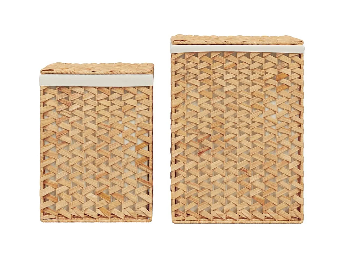 Paniers à linge 2 pcs hyacinthe d'eau