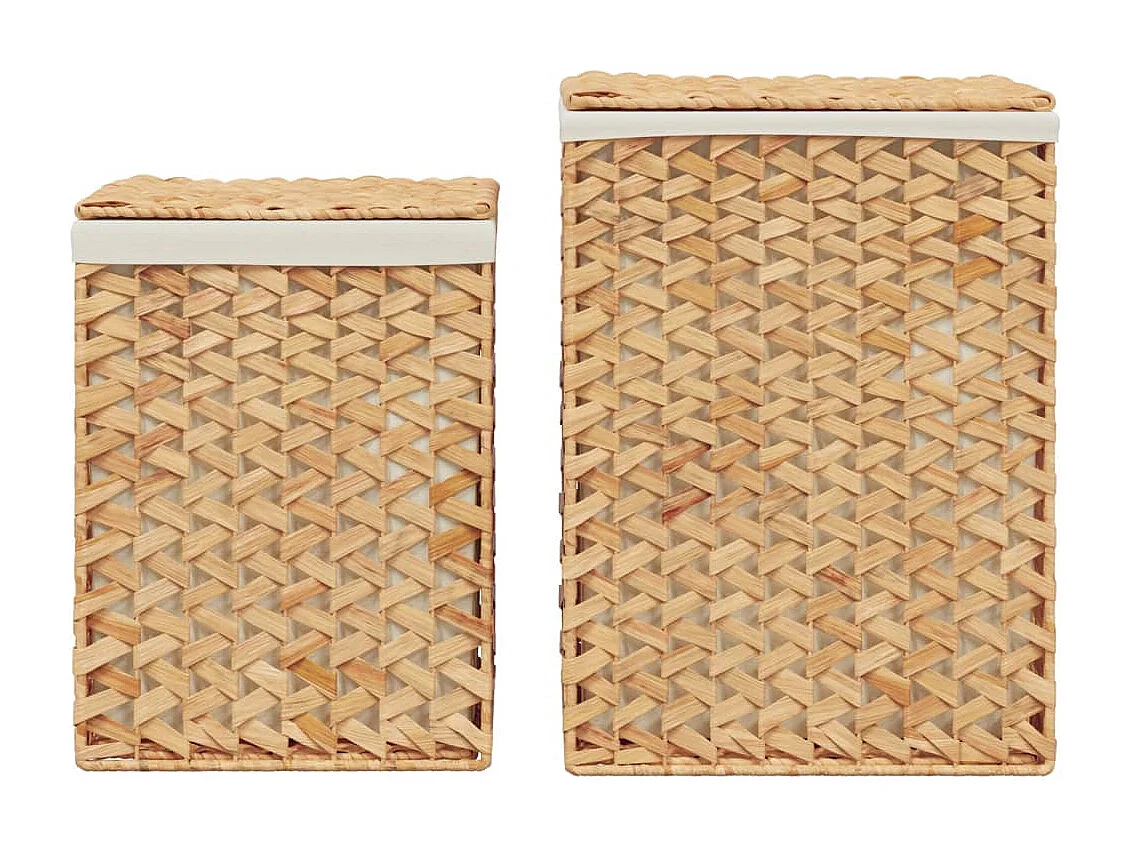 Paniers à linge 2 pcs hyacinthe d'eau