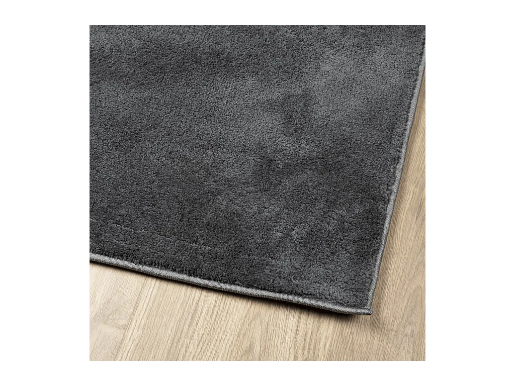 Tapis OVIEDO à poils courts anthracite 120x120 cm
