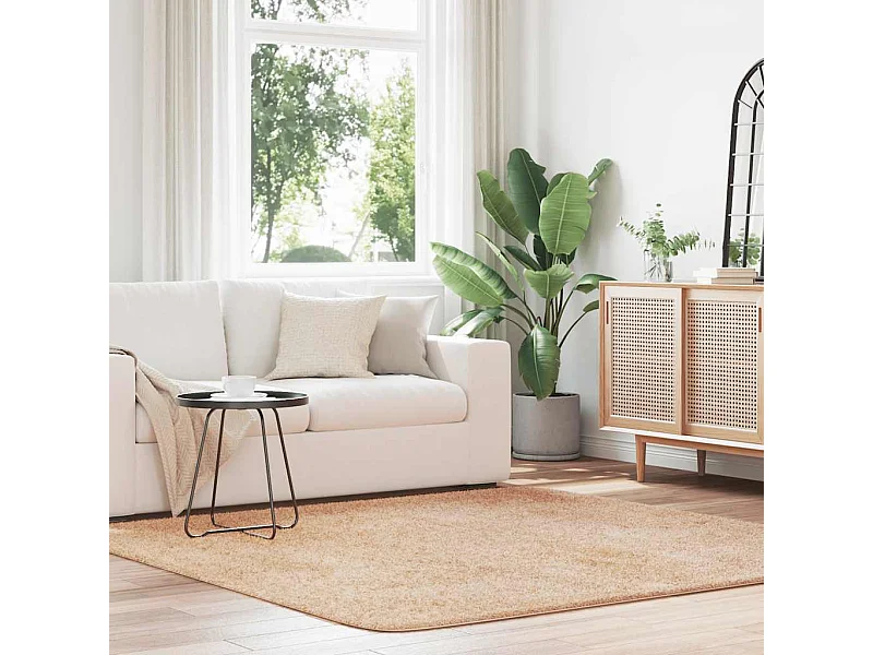 Shaggy vloerkleed met lange haren NAVARRA beige 200x200 cm polyester