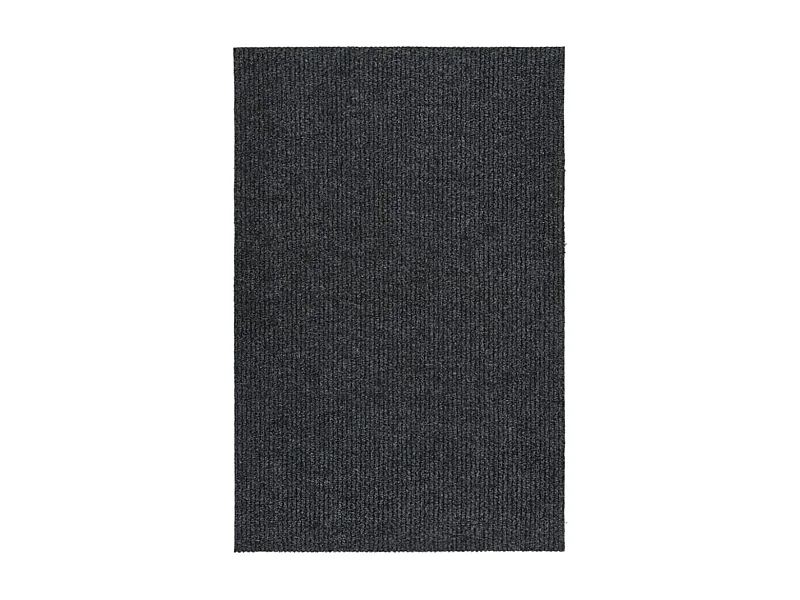 Tapis 100x150 cm Antracite