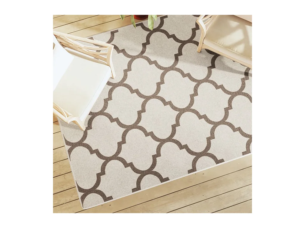 Binnen- en buitenvloerkleed met korte pool 160x230cm antislip