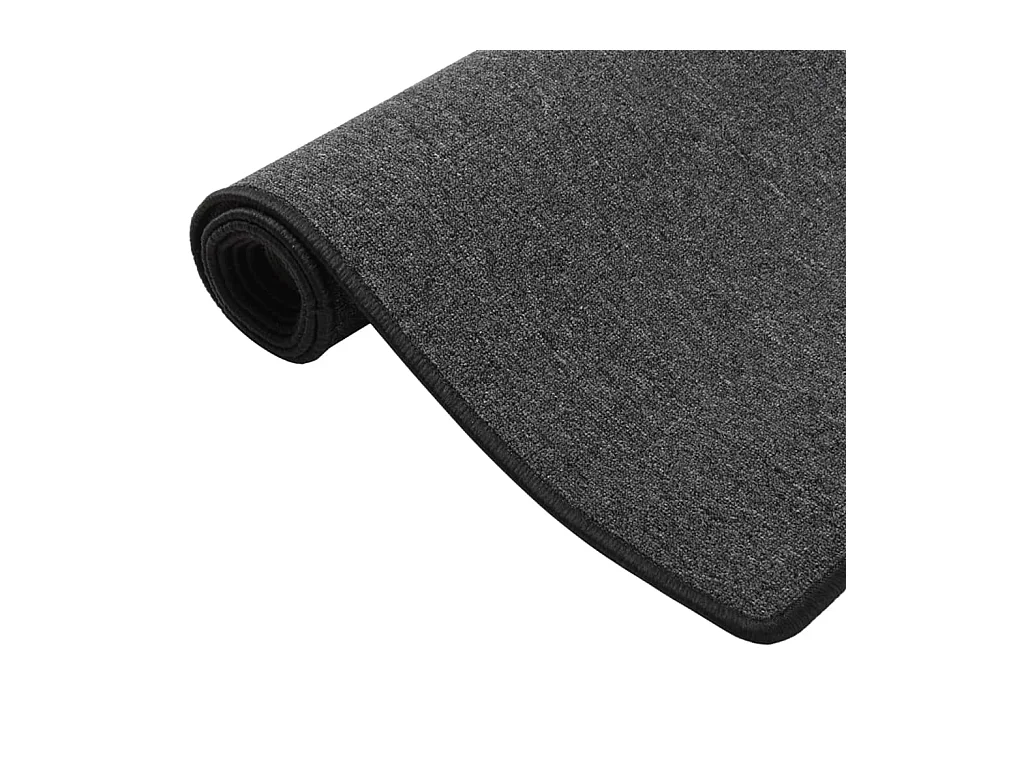 Tapis de couloir Anthracite 50x100 cm
