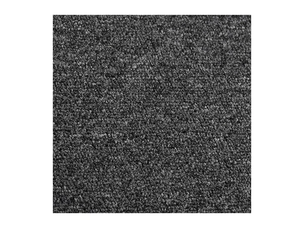 Tapis de couloir Anthracite 50x100 cm
