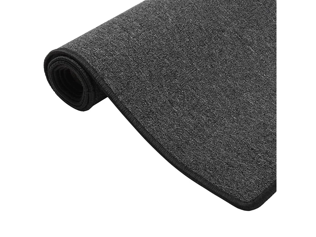 Tapis de couloir Anthracite 50x100 cm