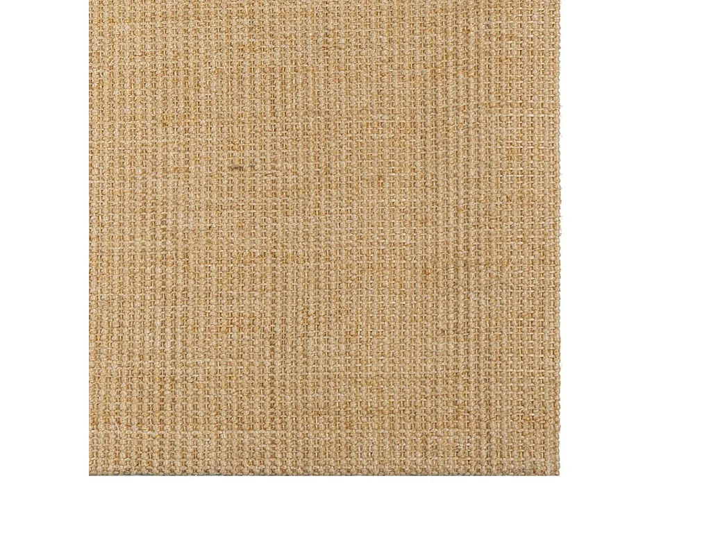 Tapis Sisal naturel 66x100 cm
