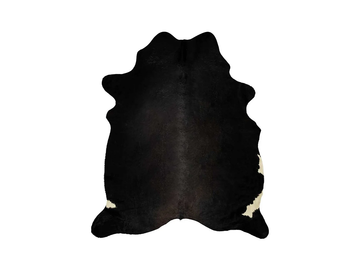 Echt koeienhuid vloerkleed zwart 180x220 cm