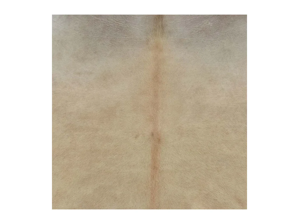 Alfombra de piel de vaca auténtica 150 x 170 cm beige