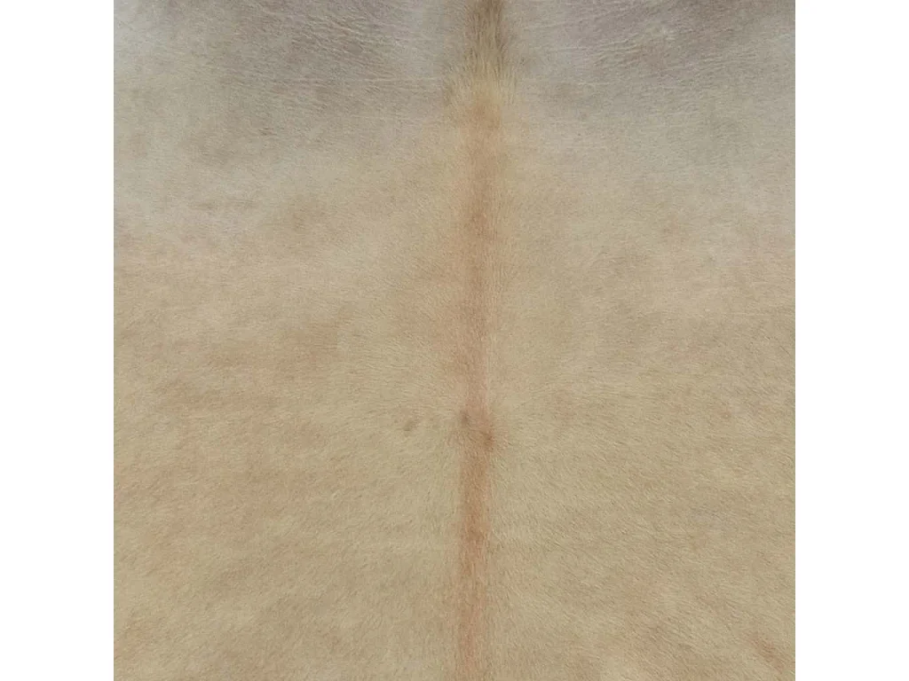 Tappeto in vera pelle di mucca 150 x 170 cm Beige
