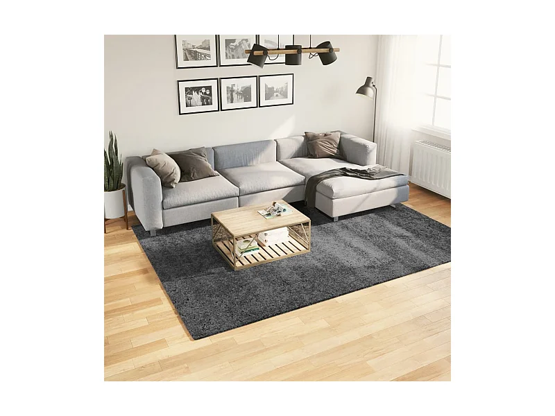 Alfombra de pelo corto OVIEDO antracita 200x280 cm
