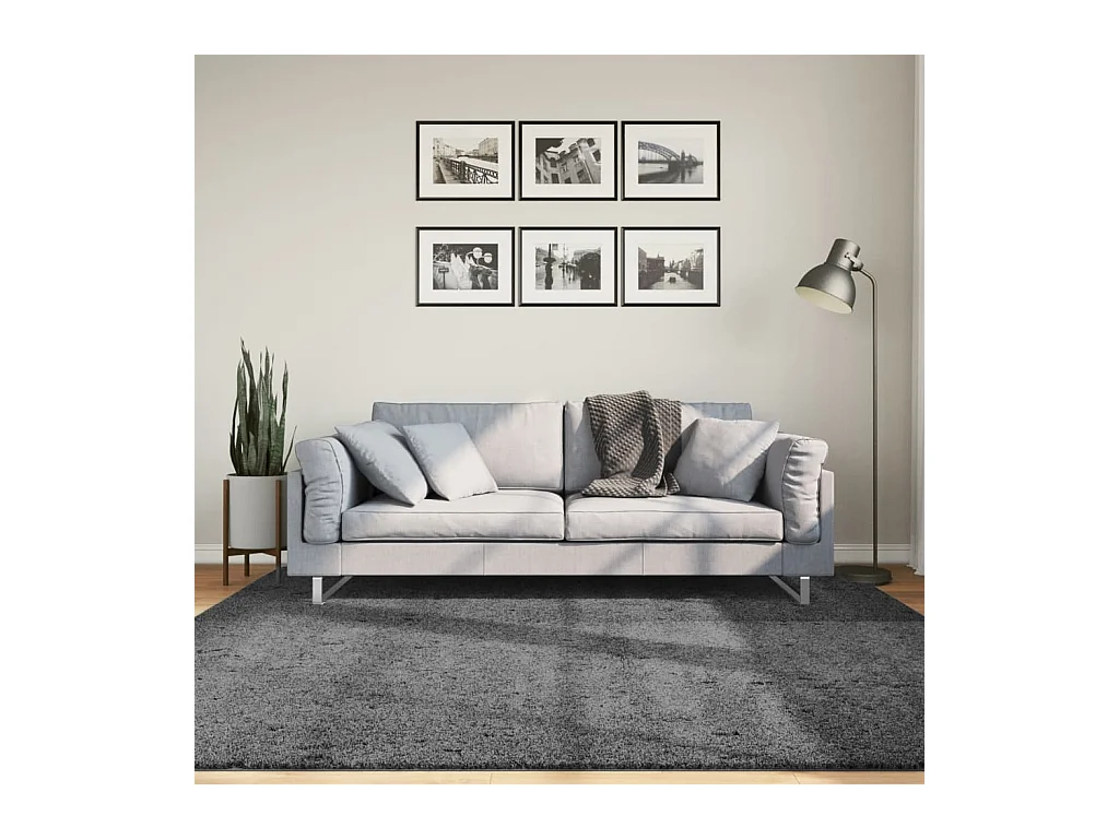 Tapis OVIEDO à poils courts anthracite 200x200 cm