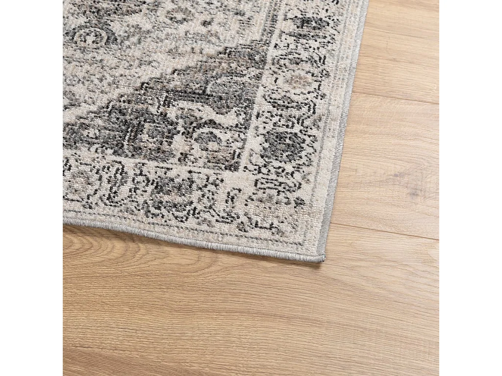 ARBIZU binnen- en buiten vintage design vloerkleed 80x250 cm