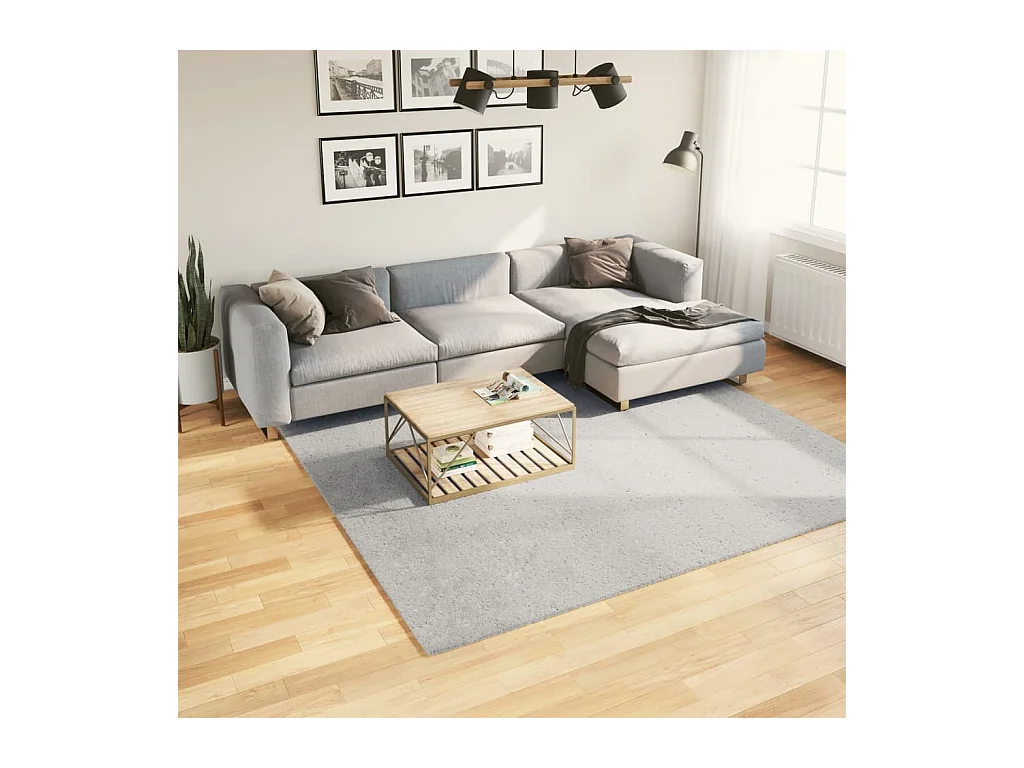 HUARTE zacht en wasbaar laagpolig vloerkleed in grijs 240x240 cm