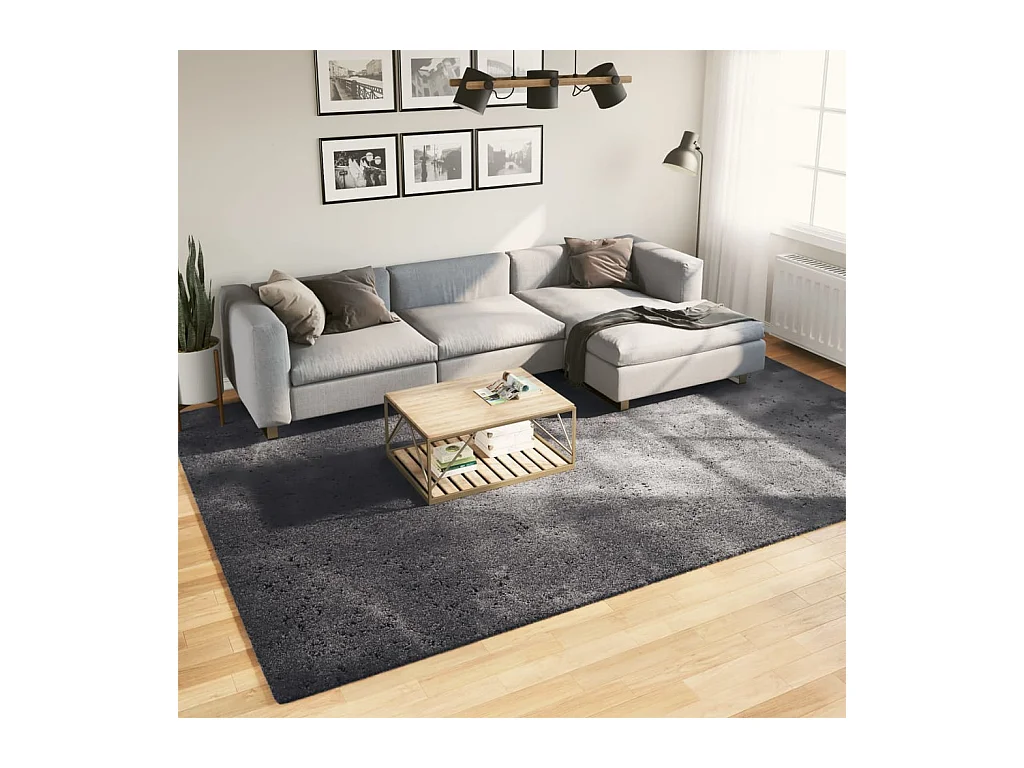 Tapis HUARTE à poils courts doux lavable anthracite 240x340 cm